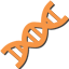 DNA als Antigen